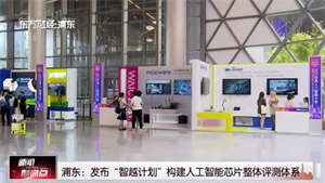 上海浦東：發(fā)布“智越計劃”構(gòu)建人工智能芯片整體評測體系