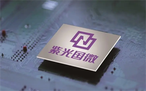 紫光國(guó)微智能安全芯片海外市場(chǎng)份額預(yù)計(jì)將保持較高增速