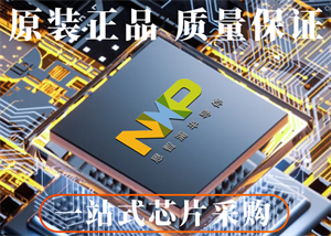 恩智浦LPC1837JET100E單片機的中文參數、功能特點以及應用領域